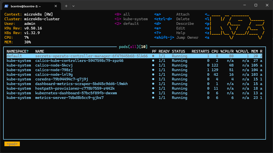 Terminal showing the pods view of k9s.