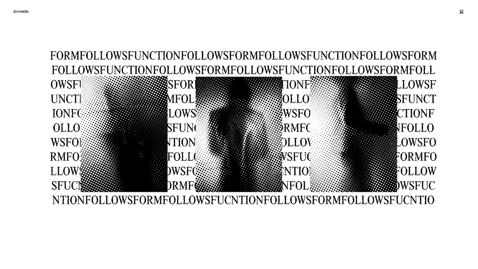 Website layout with three photos of a model wearing a leather coat. The words "FORM FOLLOWS FUNCTION" repeats in the background.